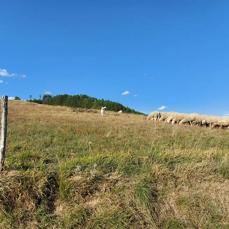 Bnb Bagno Di Bosco Bed and Breakfast Gubbio Buitenkant foto