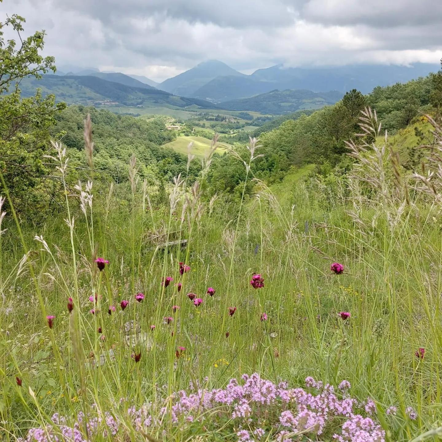 Bnb Bagno Di Bosco Bed and Breakfast Gubbio Buitenkant foto