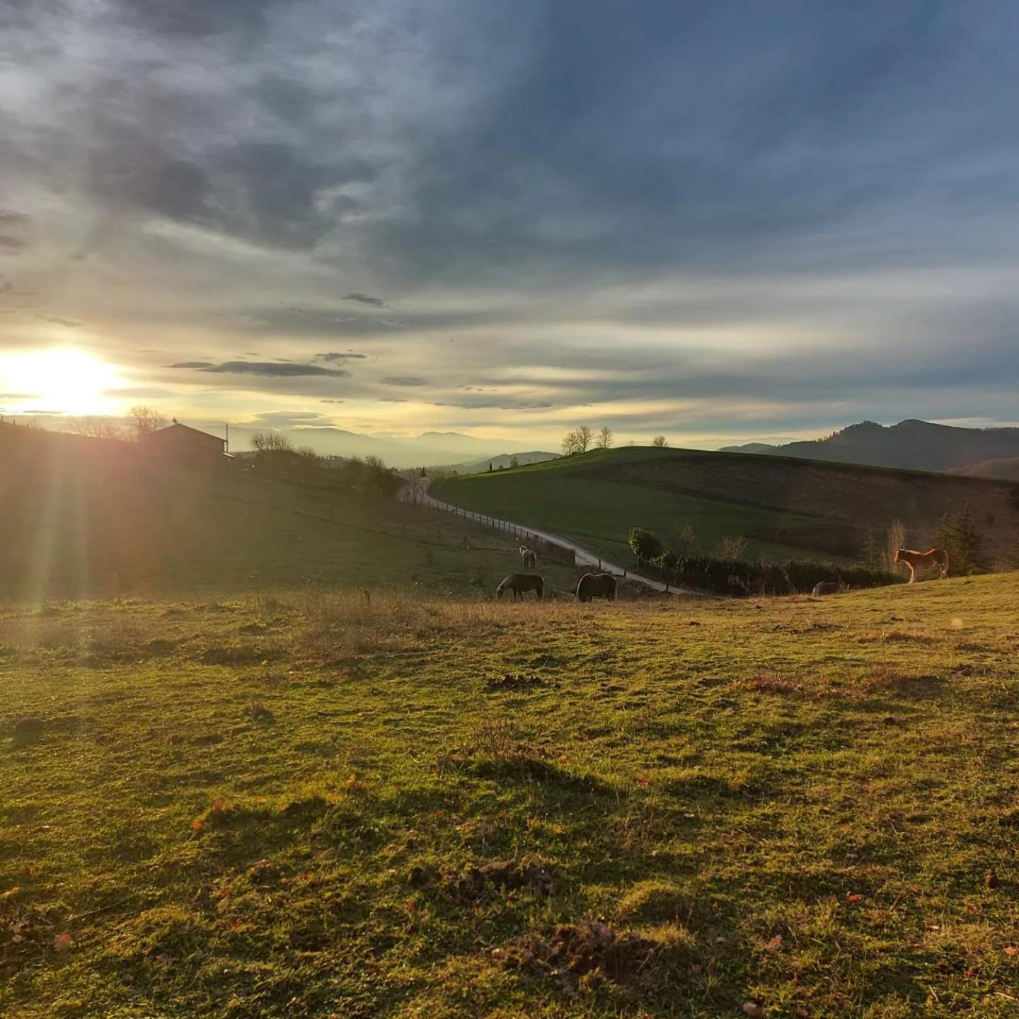 Bnb Bagno Di Bosco Bed and Breakfast Gubbio Buitenkant foto