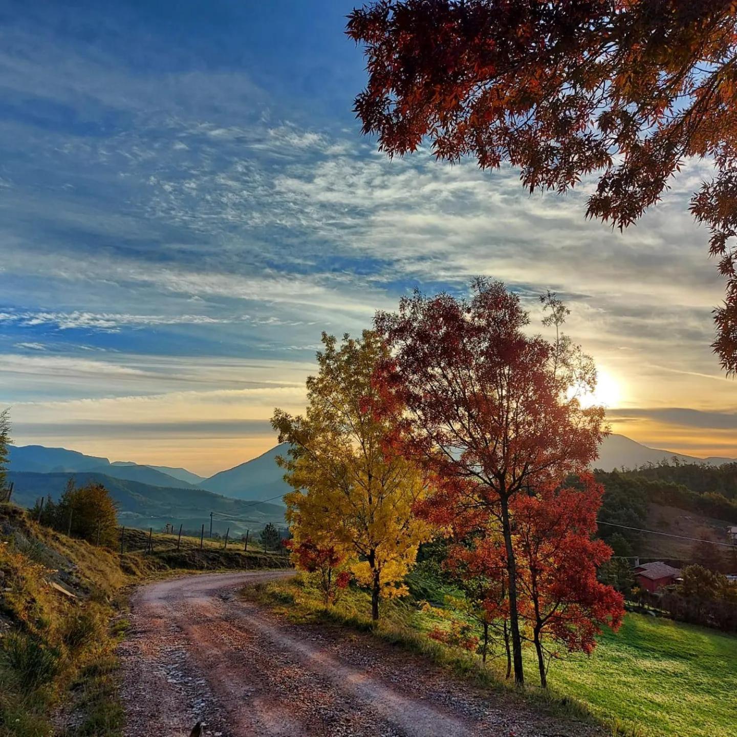 Bnb Bagno Di Bosco Bed and Breakfast Gubbio Buitenkant foto