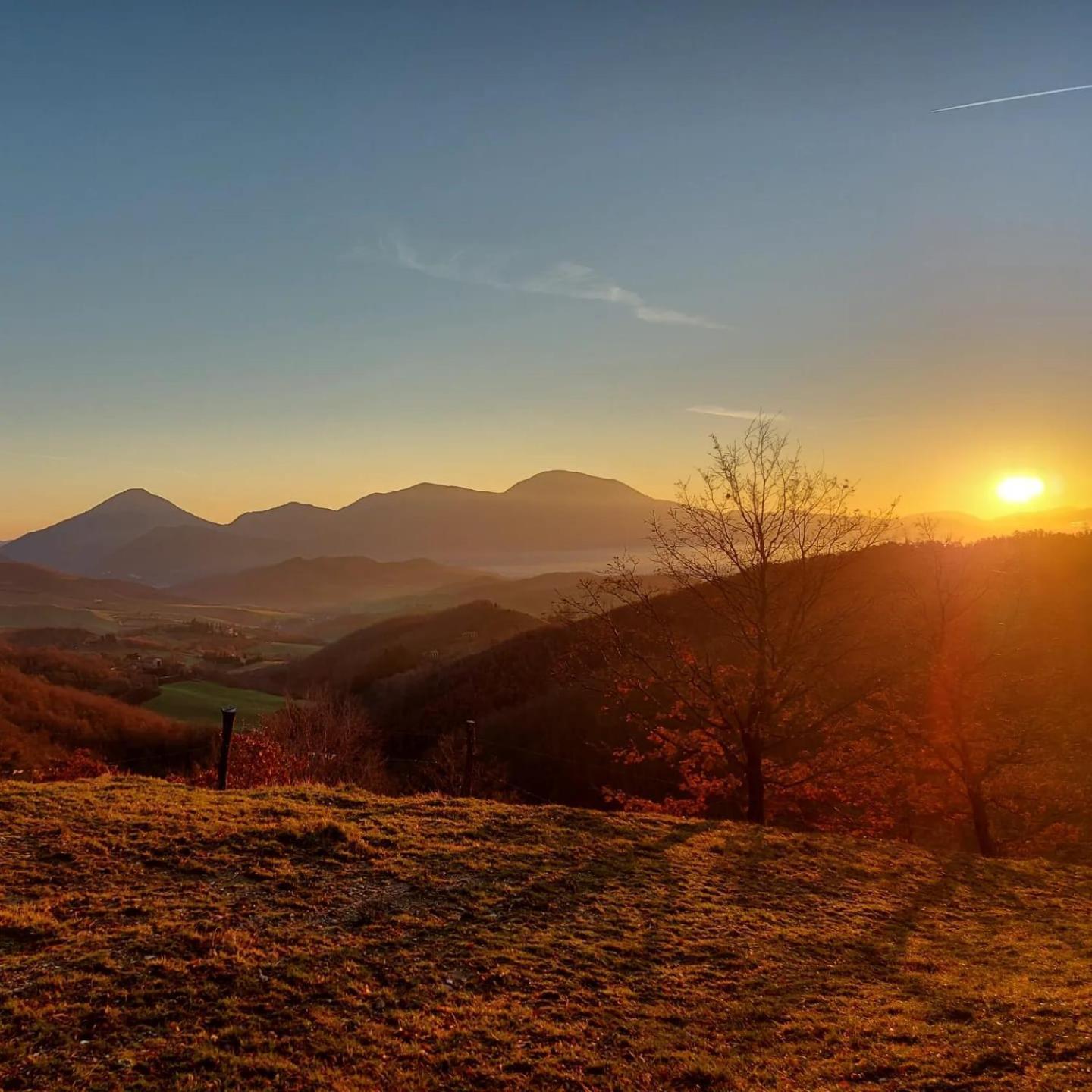 Bnb Bagno Di Bosco Bed and Breakfast Gubbio Buitenkant foto